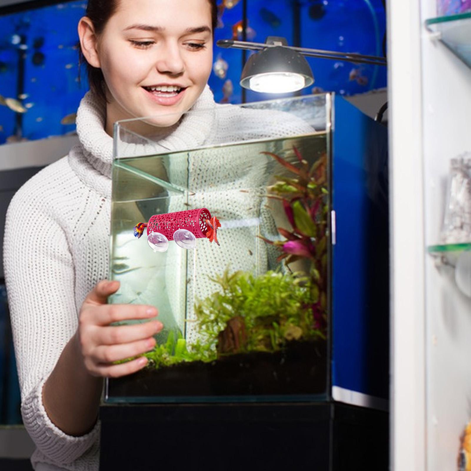 Aquarium Fish Cichlid - Betta-Habitat, Ruheplatz, Ornament, Fischtunnel, Spielzeug für