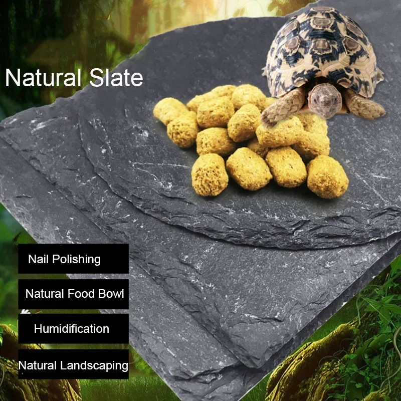 Aquarium Fish Price - Natürliche Schiefer Aquarium Haustier Reptilien Feeder