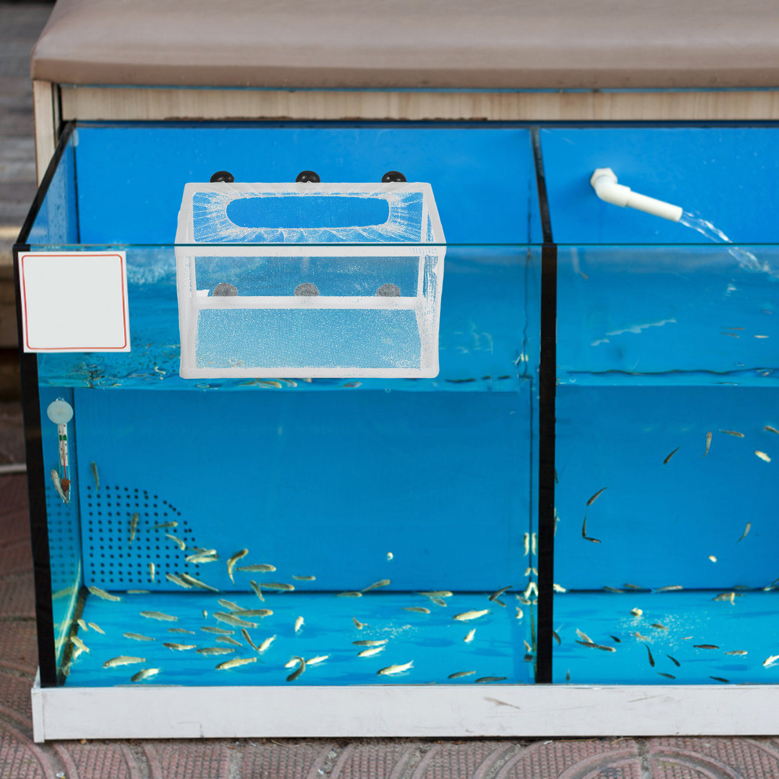 Aquarium Fish Net Big Size - Aquarium-Fischnetz-Aufzuchtbox, große Größe, Jungfisch-Inkubator, Saugnapfmontage, Polyesternetz,
