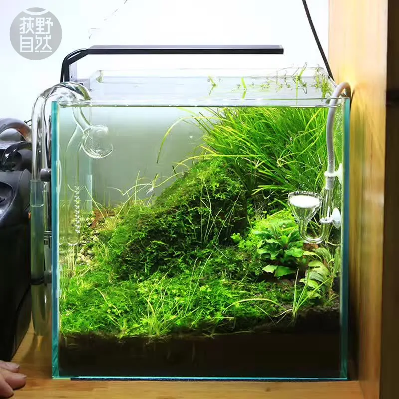 Aquarium Fish Store - Spirituosen C-Serie ADA-Stil Pflanze wachsen LED-Licht