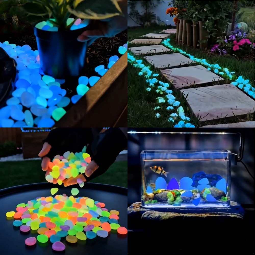 Aquarium Fish Cartoon - Bunte, im Dunkeln leuchtende Kieselsteine für