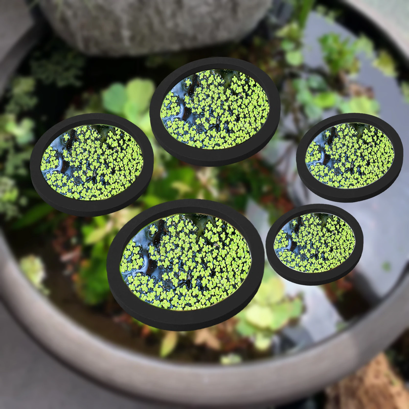 Aquarium Fish Marine - 5Pcs EVA Fisch Fütterung Ring Aquarium