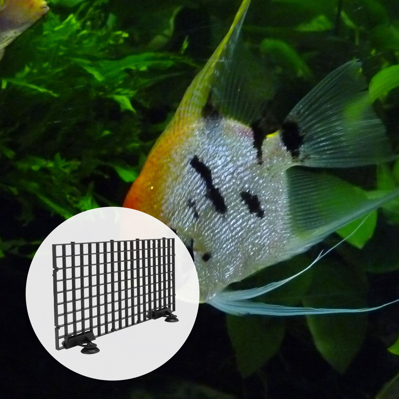 Aquarium Fish Net Big Size - Großes Fischzucht-Netz für Aquarien, Säuglings-Trennwand mit
