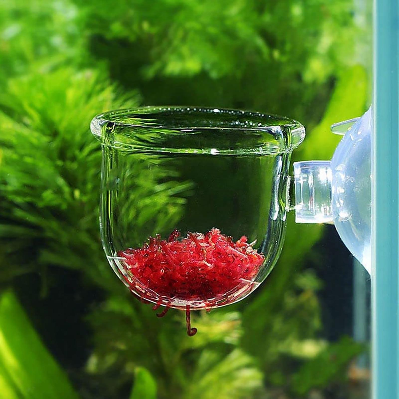 Aquarium Fish Beautiful - Pflanzenhalter für Aquarien, transparente Acryl-Aquarienpflanzentöpfe mit