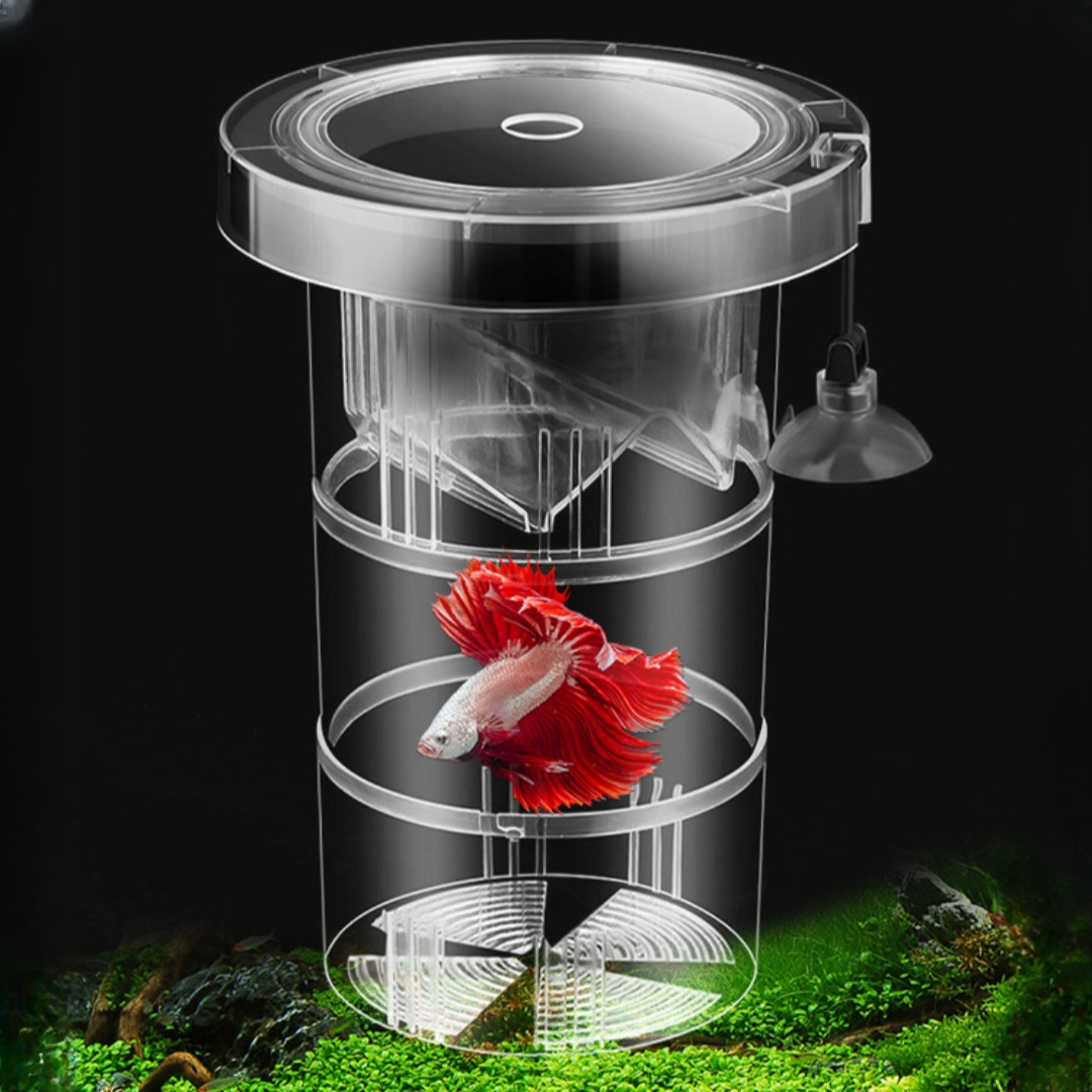 Aquarium Fish Marine - Acryl Schwimmende Fische Zucht Isolation Box
