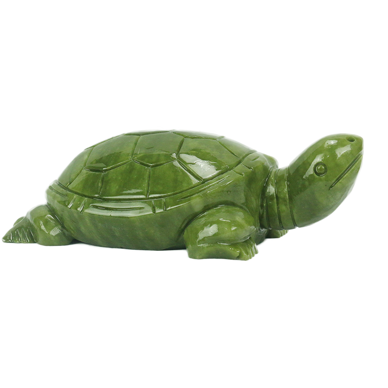 Natürliche Jade/Schildkröte Sk – Aquarium Fish Only Bewertung und Preis