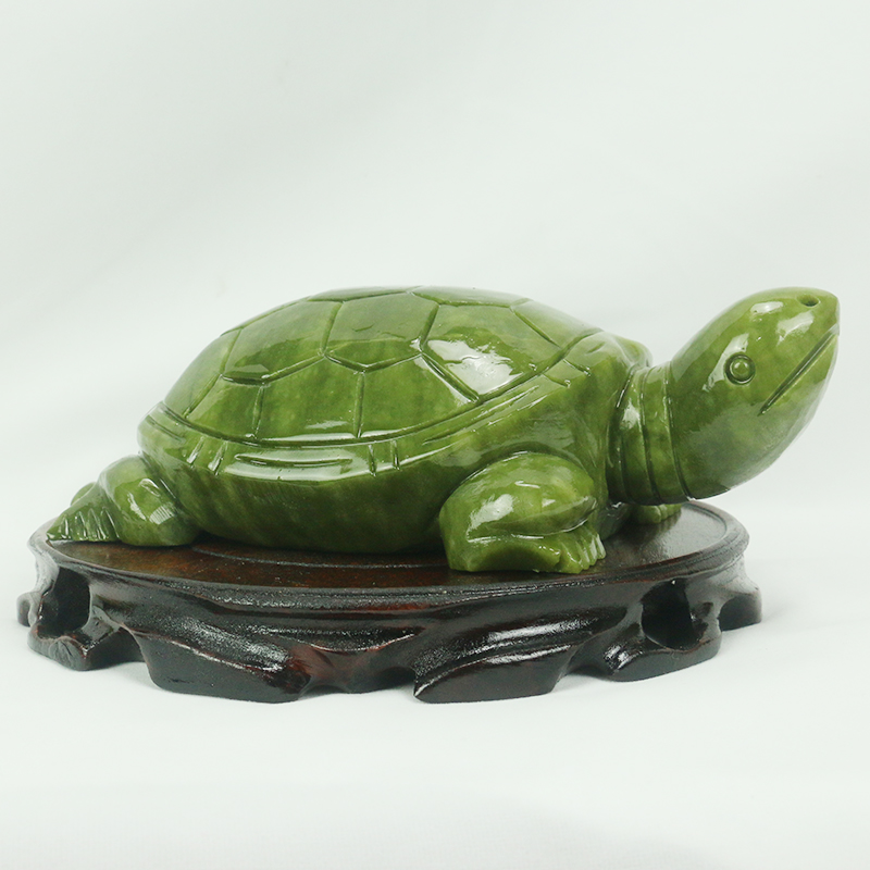 Natürliche Jade/Schildkröte Sk – Aquarium Fish Only Bewertung und Preis