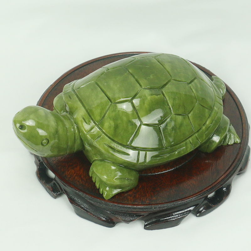 Natürliche Jade/Schildkröte Sk – Aquarium Fish Only Bewertung und Preis