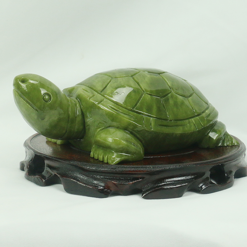 Natürliche Jade/Schildkröte Sk – Aquarium Fish Only Bewertung und Preis