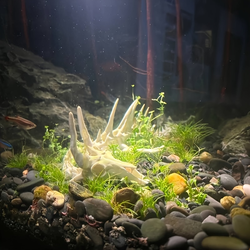 1 Stück Drachenförmige Fischgr – Aquarium Fish Games Bewertung und Preis