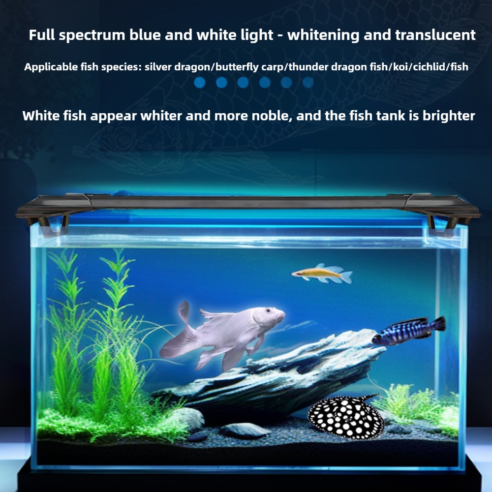 Aquarium-LED-Lichtleiste, 2 Fu – Aquarium Fish Parrot Bewertung und Preis