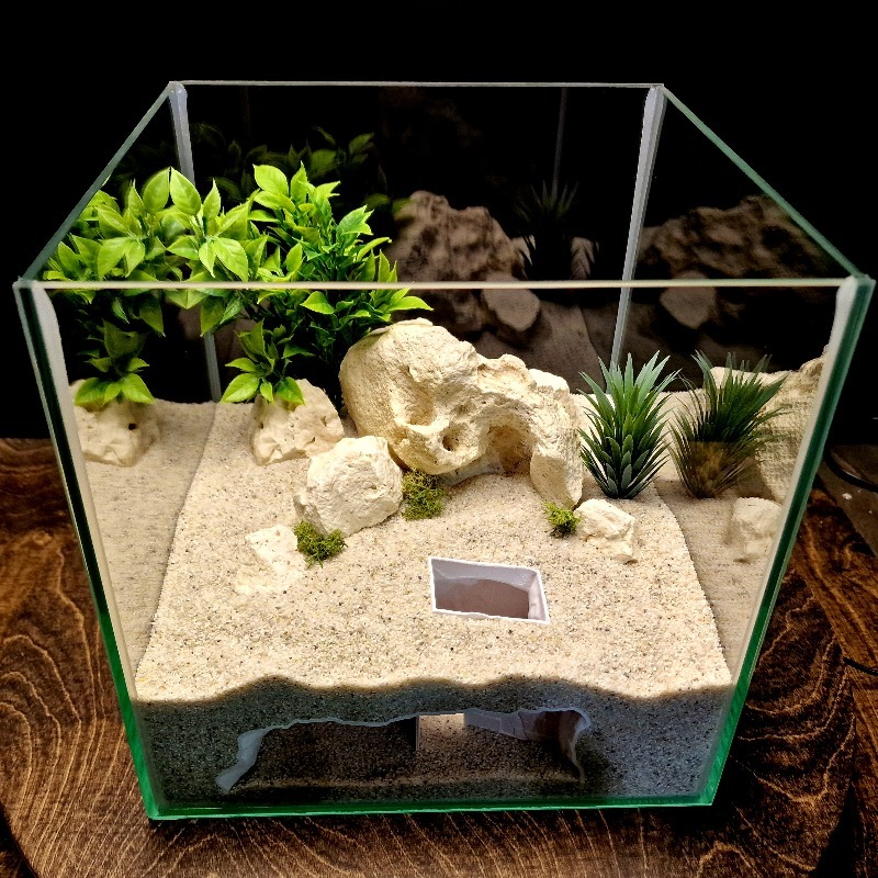 3D-Gedruckte Geheimhöhle für F – Aquarium Fish Cichlid Bewertung und Preis