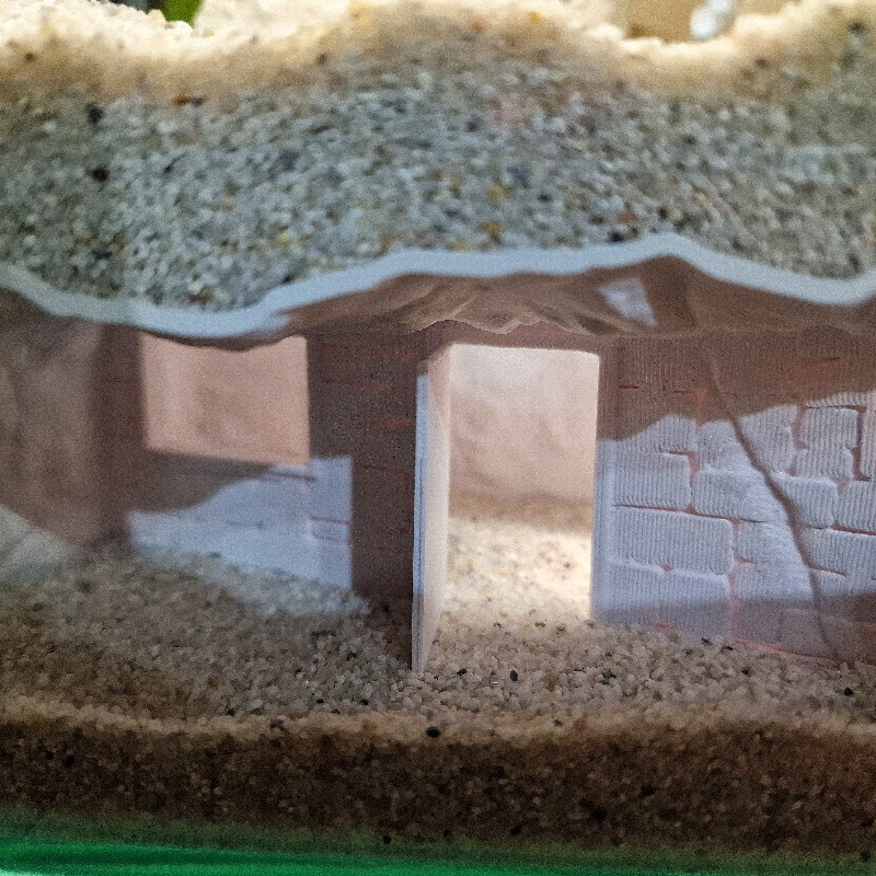 3D-Gedruckte Geheimhöhle für F – Aquarium Fish Cichlid Bewertung und Preis