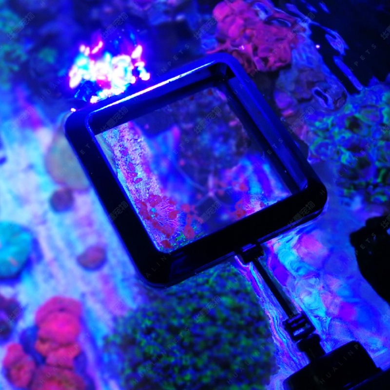 VASTOCEAN Magnetischer Futterr – Aquarium Fish Price Bewertung und Preis