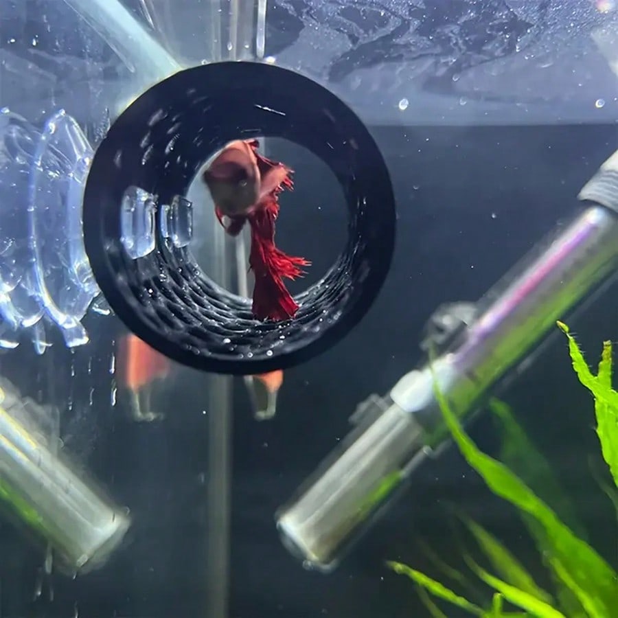 Aquarium-Fischversteck, schwar – Aquarium Fish Games Bewertung und Preis