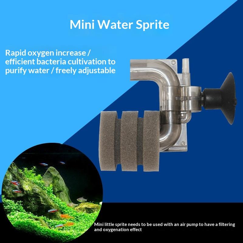 Heißer Verkauf - Mini-Aquarium – Aquarium Fish Price Bewertung und Preis