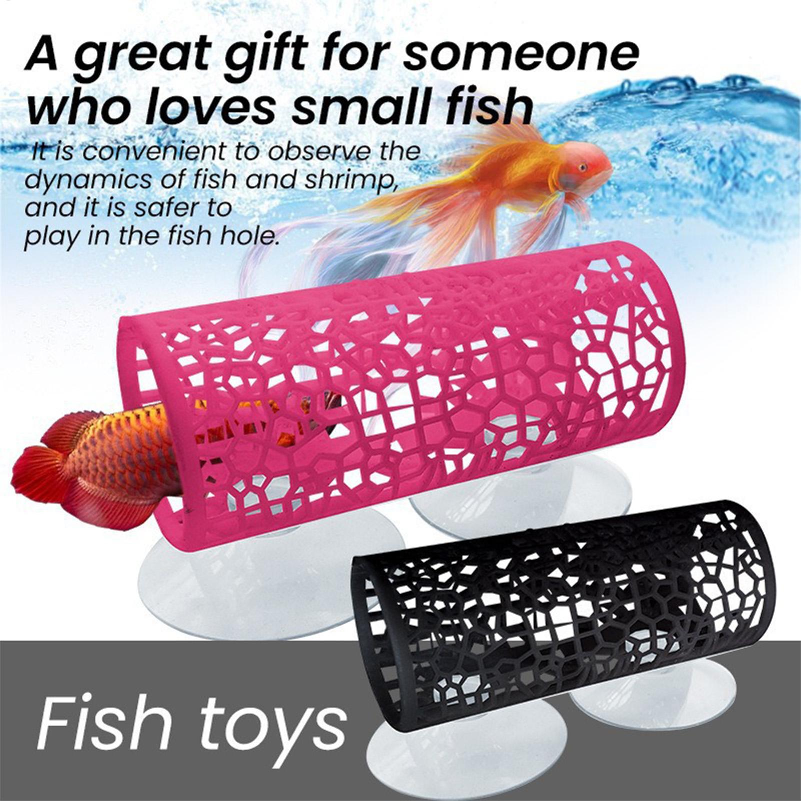 Betta-Habitat, Ruheplatz, Orna – Aquarium Fish Cichlid Bewertung und Preis