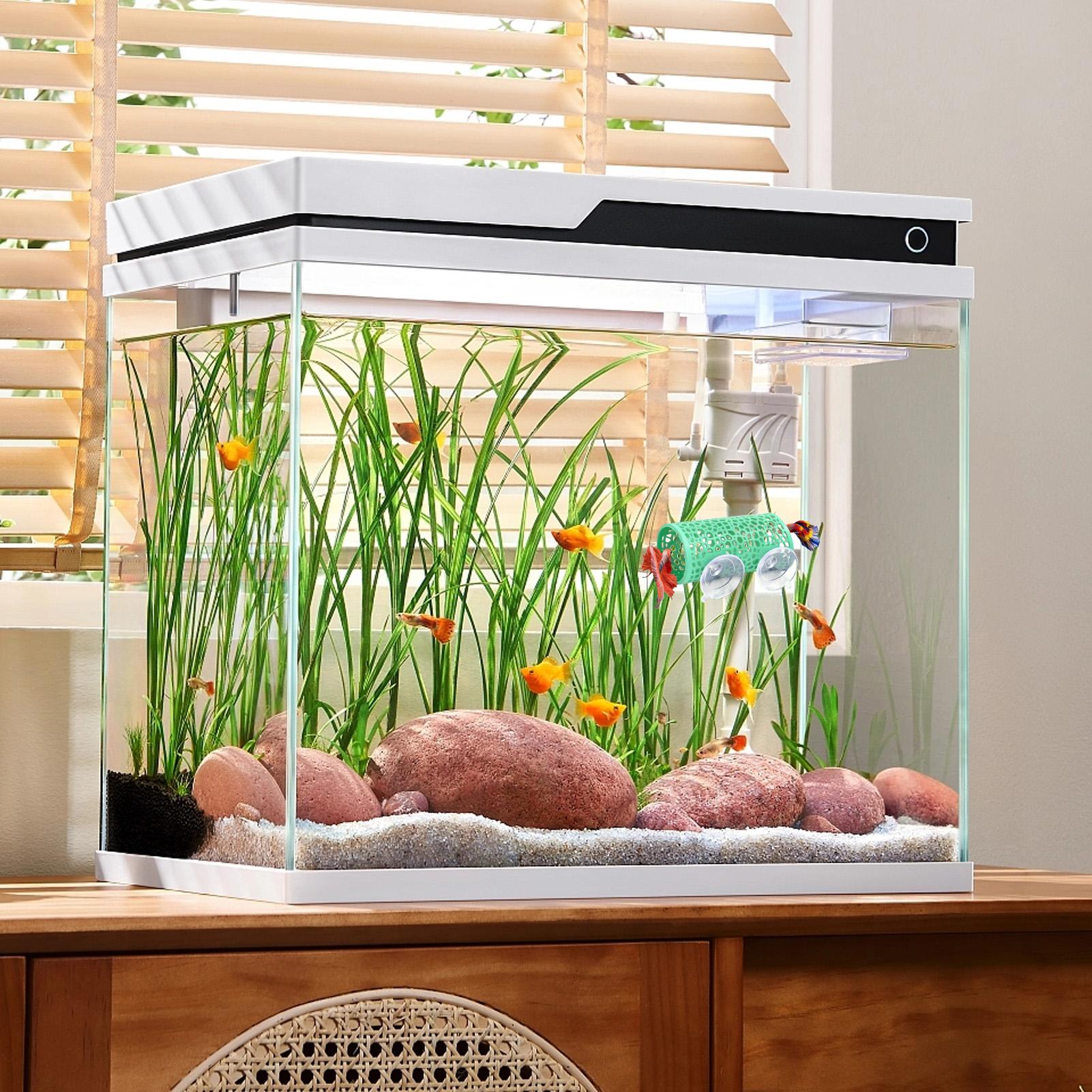 Betta-Habitat, Ruheplatz, Orna – Aquarium Fish Cichlid Bewertung und Preis