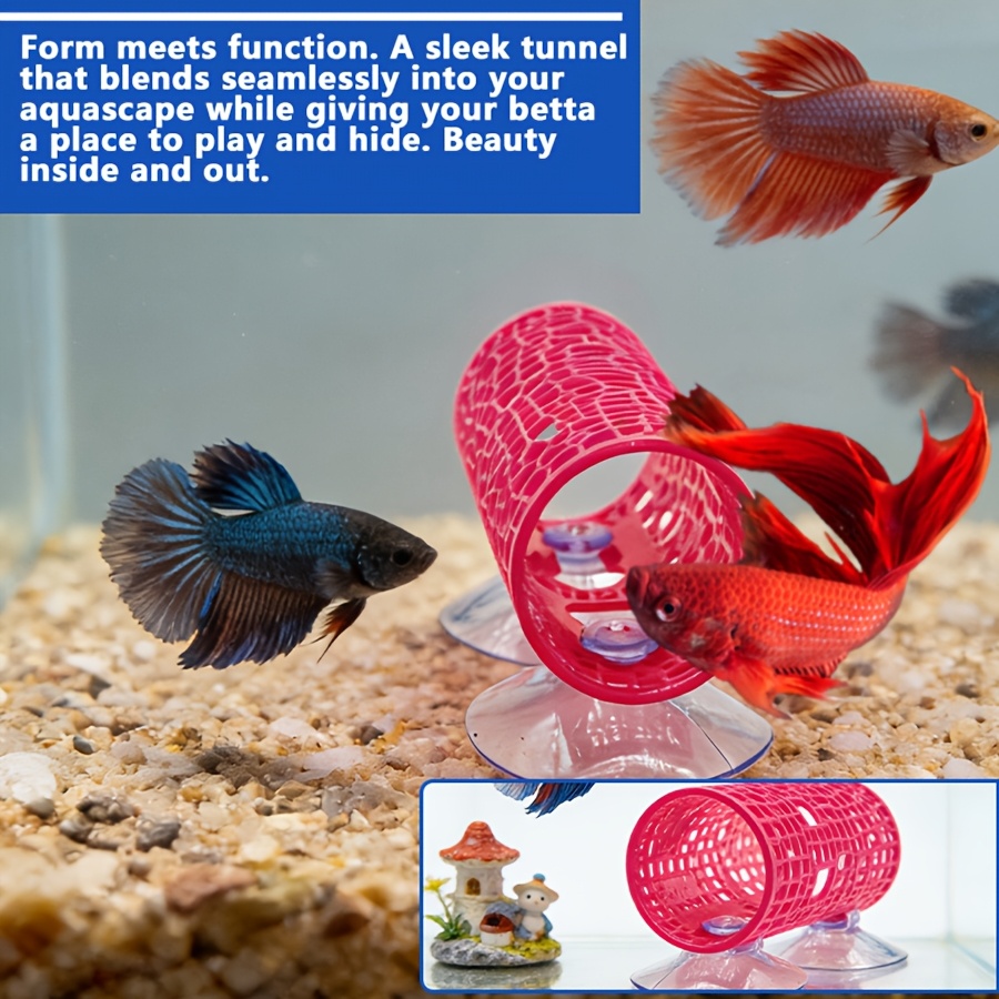 Betta-Fisch Verstecktunnel 1 S – Aquarium Fish Beautiful Bewertung und Preis