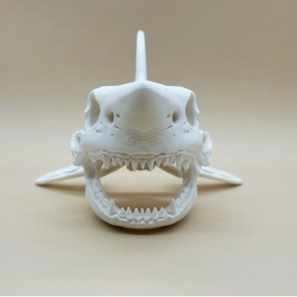 3D-gedruckter Haifischschädel- – Aquarium Fish Games Bewertung und Preis
