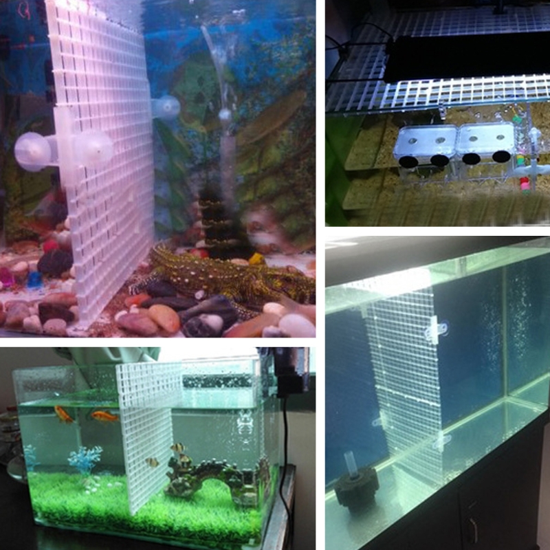 Fisch für Tankteiler, Kunststo – Aquarium Fish Eggs Bewertung und Preis