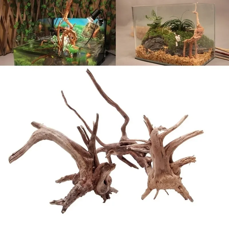 Natürlicher Baumstamm Treibhol – Aquarium Fish Cichlid Bewertung und Preis