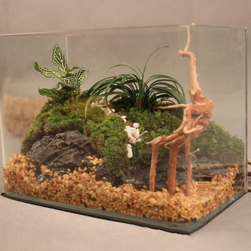 Natürlicher Baumstamm Treibhol – Aquarium Fish Cichlid Bewertung und Preis