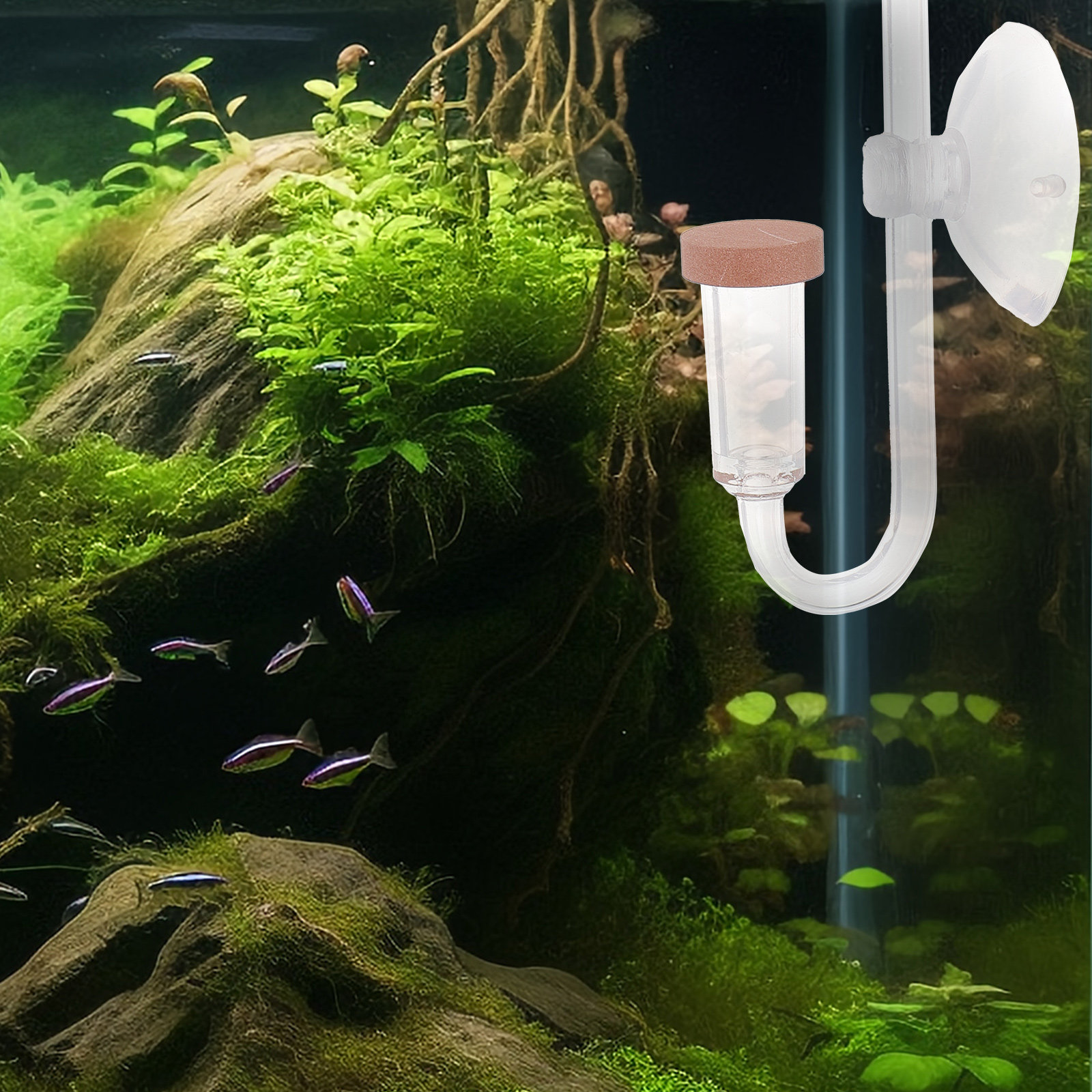 Aquarium CO2-Refiner Transpare – Aquarium Fish Rate Bewertung und Preis