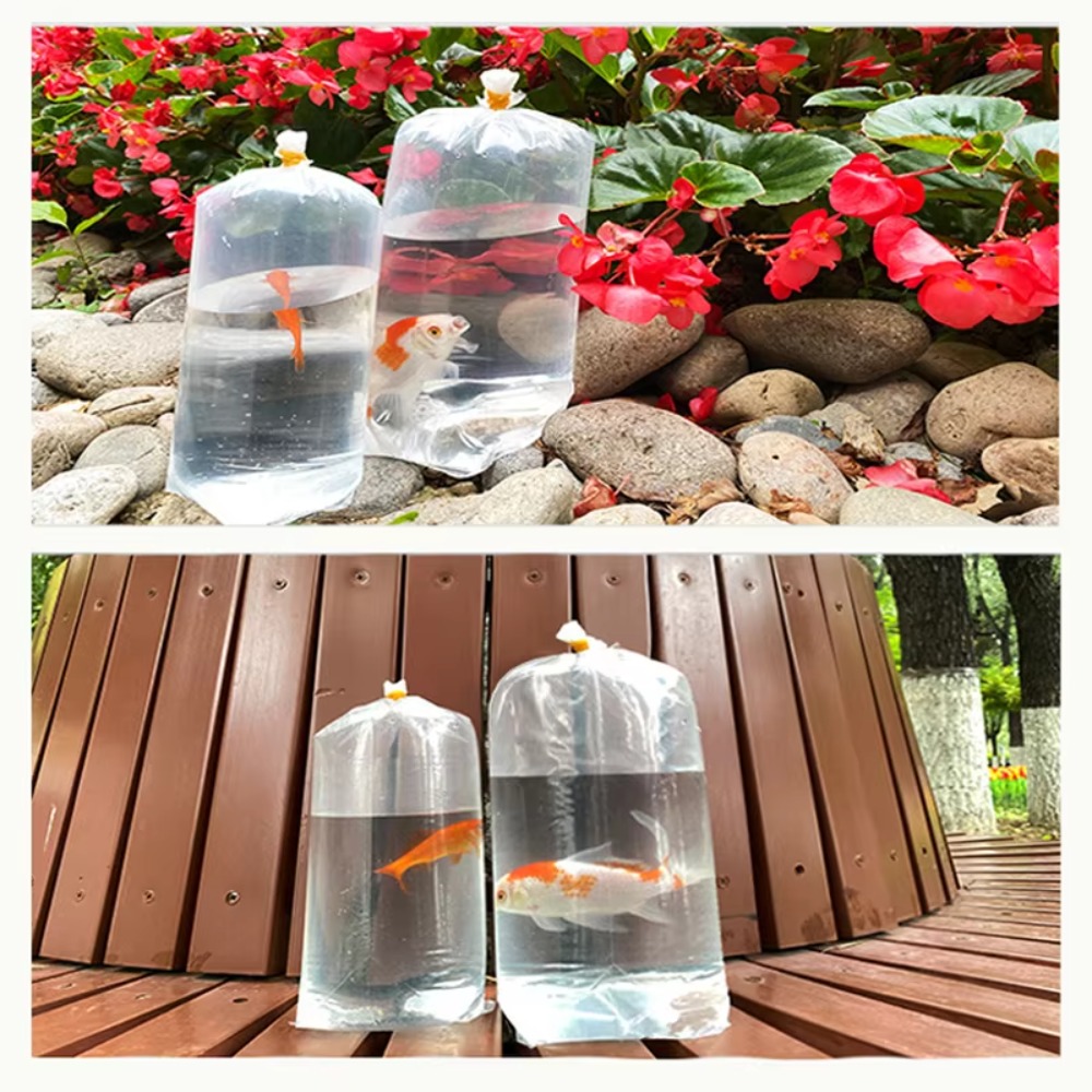 50 Stück Aquarium-Atmungsbeute – Aquarium Fish Delivery Bewertung und Preis