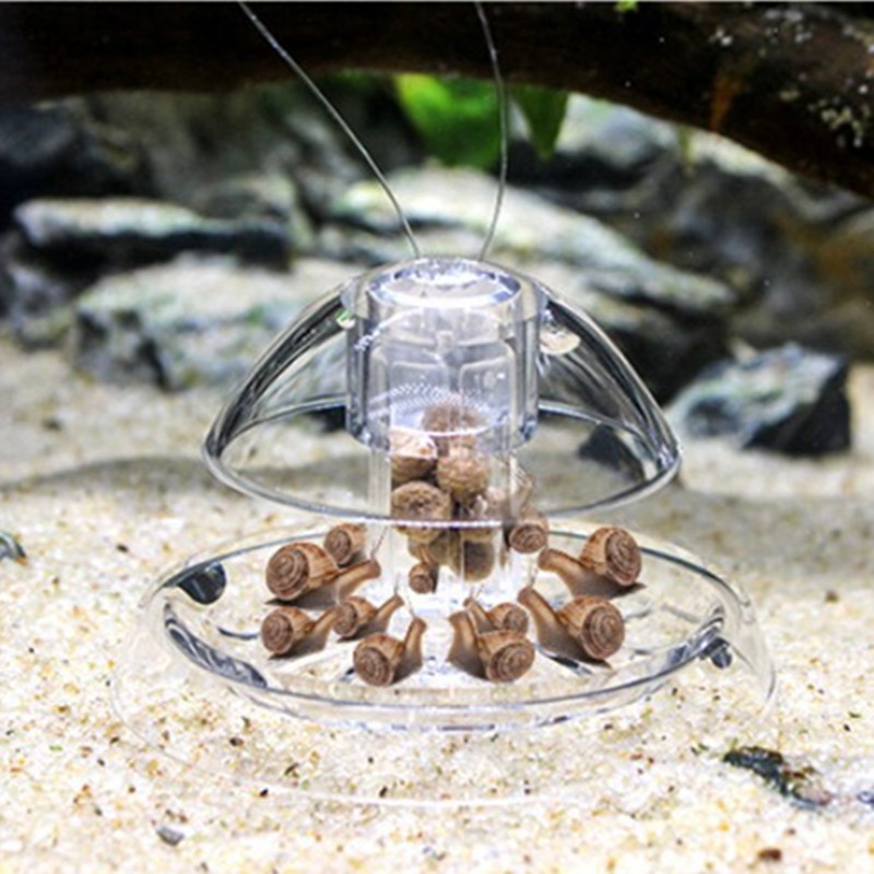 1 Stück Aquarium Aquarium Rein – Aquarium Fish Eggs Bewertung und Preis