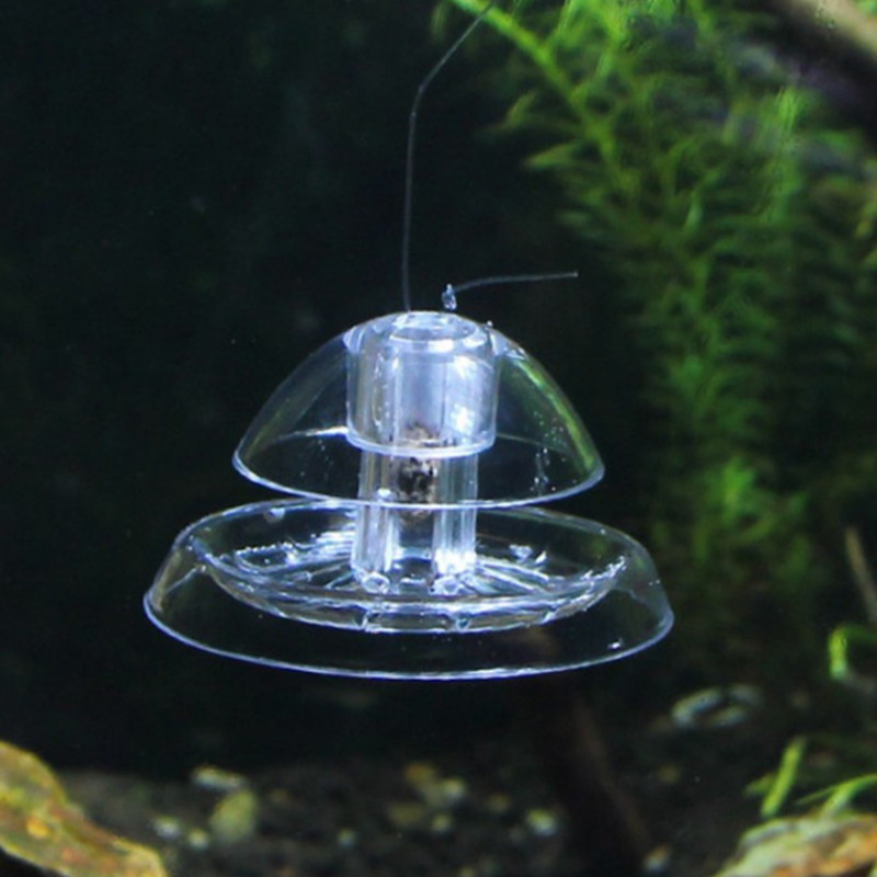 1 Stück Aquarium Aquarium Rein – Aquarium Fish Eggs Bewertung und Preis