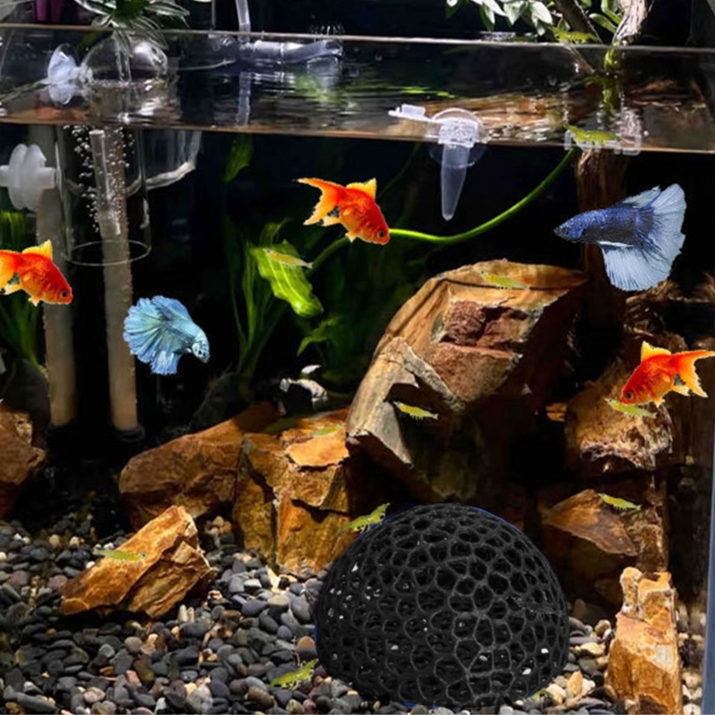 Fischschutz-Höhlenecke für Aqu – Aquarium Fish Beautiful Bewertung und Preis