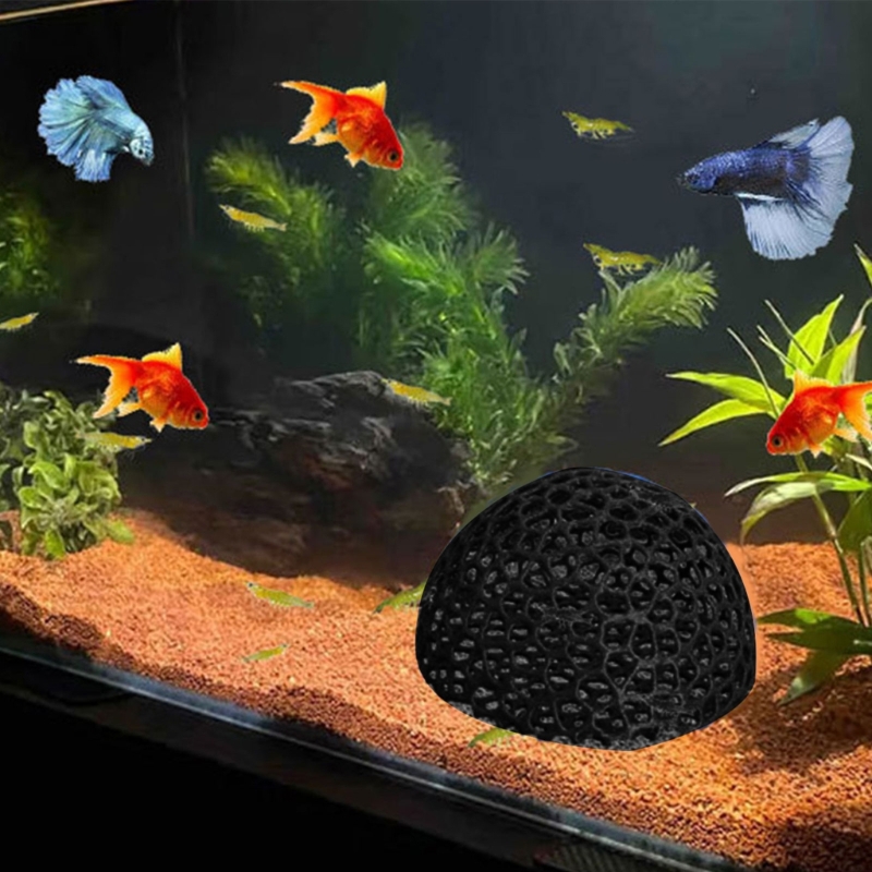 Fischschutz-Höhlenecke für Aqu – Aquarium Fish Beautiful Bewertung und Preis
