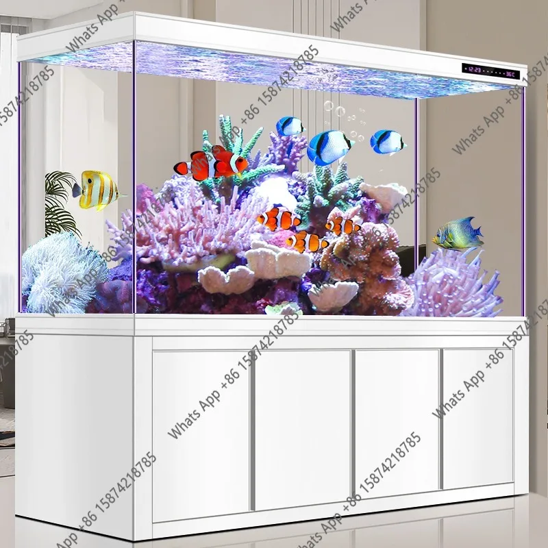 X Arowana Aquarium aus ultrakl – Xchange Aquarium Fish Bewertung und Preis