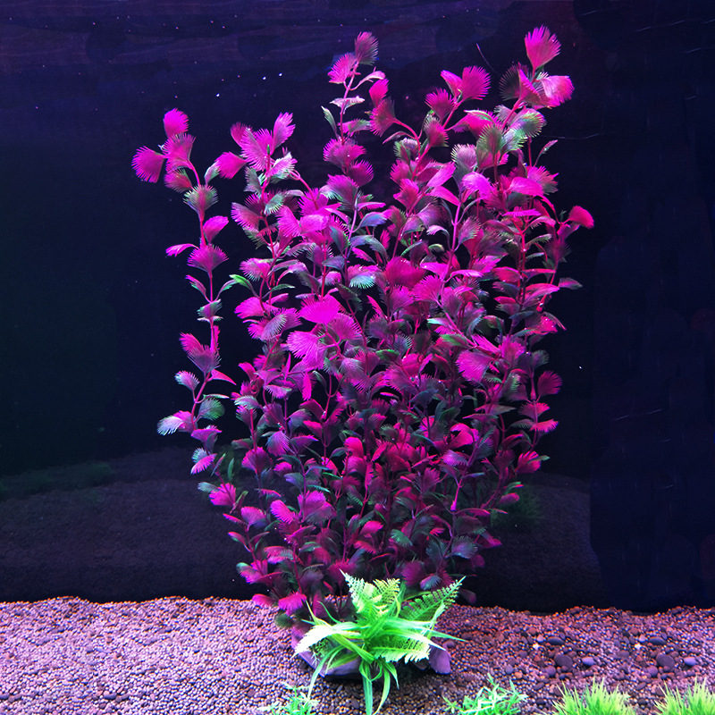 52 cm künstliche Aquarienpflan – Aquarium Fish Beautiful Bewertung und Preis