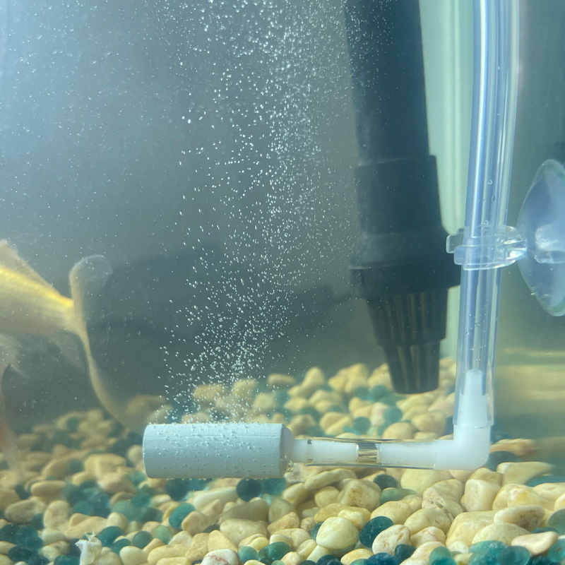 CO2-Systemregler Hervorragende – Aquarium Fish Rate Bewertung und Preis