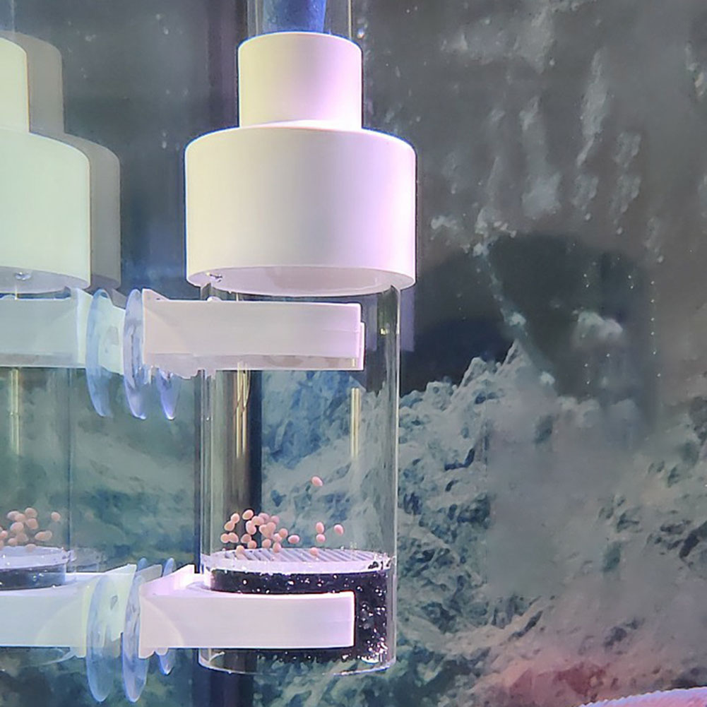 40mm Inkubator Fisch Inkubator – Aquarium Fish Eggs Bewertung und Preis