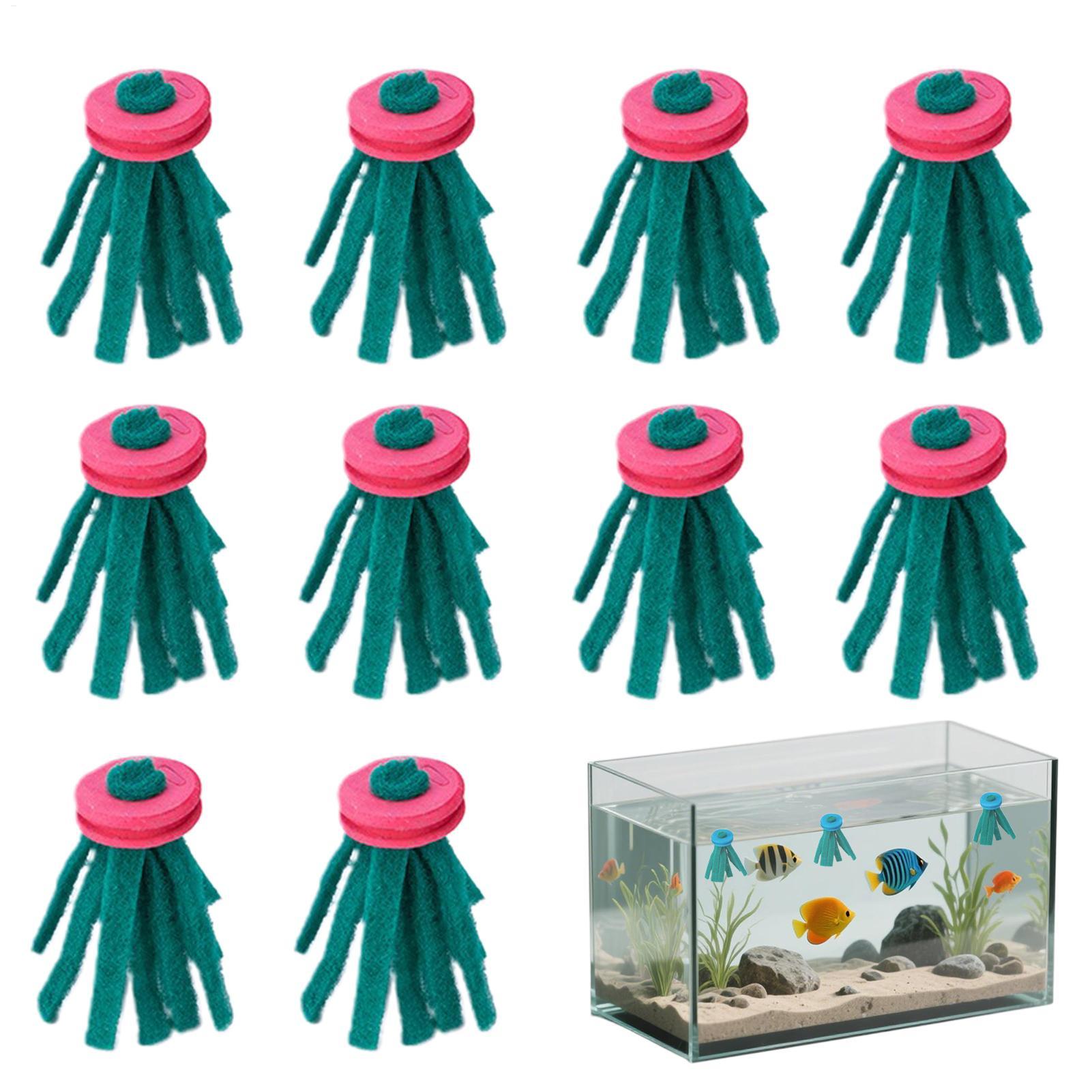 10 Stück Aquarium-Legenetz, de – Aquarium Fish Eggs Bewertung und Preis