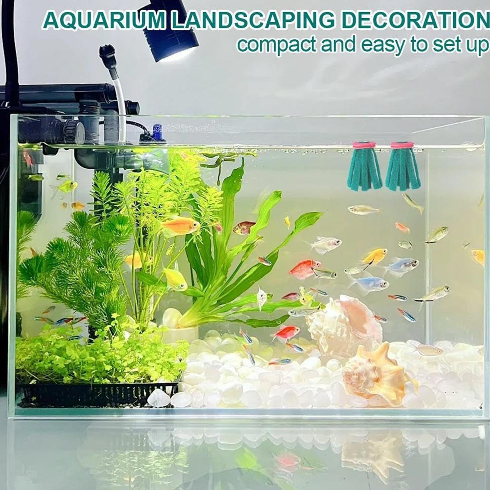 10 Stück Aquarium-Legenetz, de – Aquarium Fish Eggs Bewertung und Preis