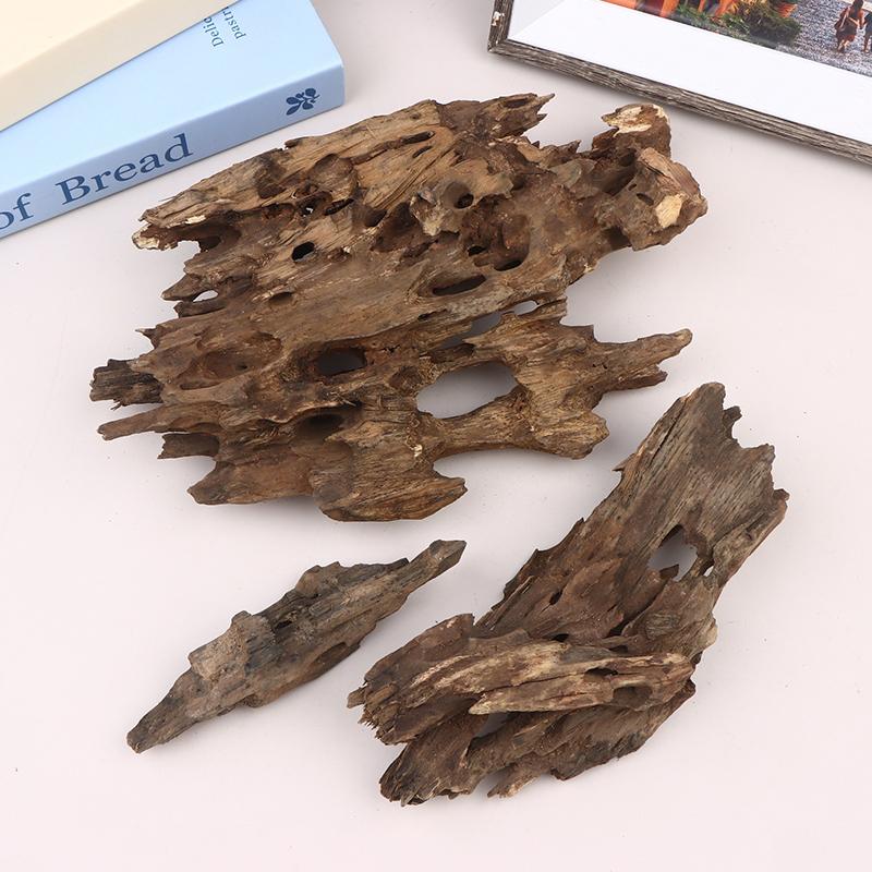 Garnelen-Holz-Aquarium-Dekorat – Aquarium Fish Cichlid Bewertung und Preis