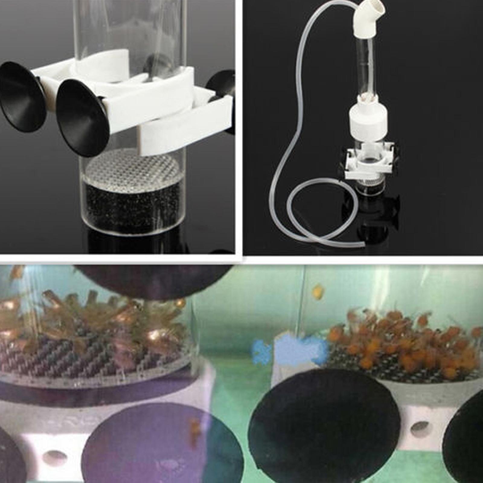 Eierinkubator Fisch-Acryl-Brut – Aquarium Fish Eggs Bewertung und Preis