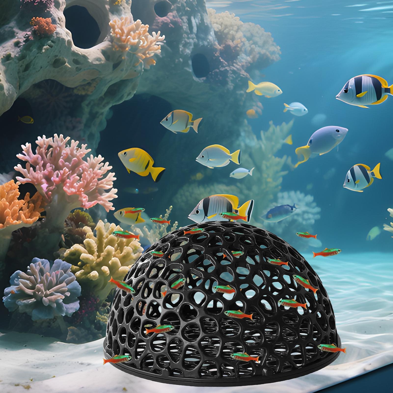 Aquarium-Hiden-Höhlenunterstan – Aquarium Fish Games Bewertung und Preis
