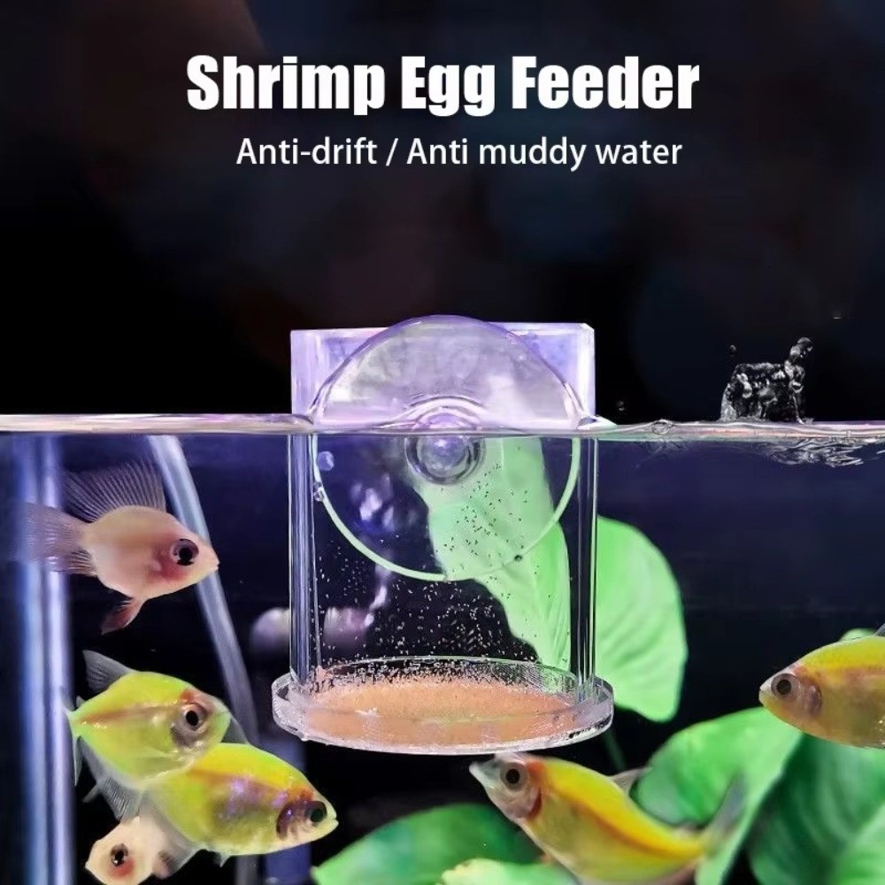 Acryl-Sole-Garnelen-Futterstat – Aquarium Fish Eggs Bewertung und Preis