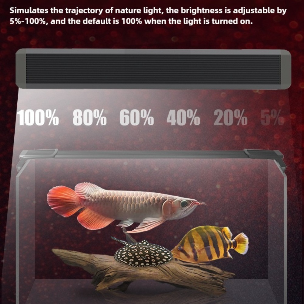 Aquarium LED-Beleuchtung, Dimm – Aquarium Fish Parrot Bewertung und Preis
