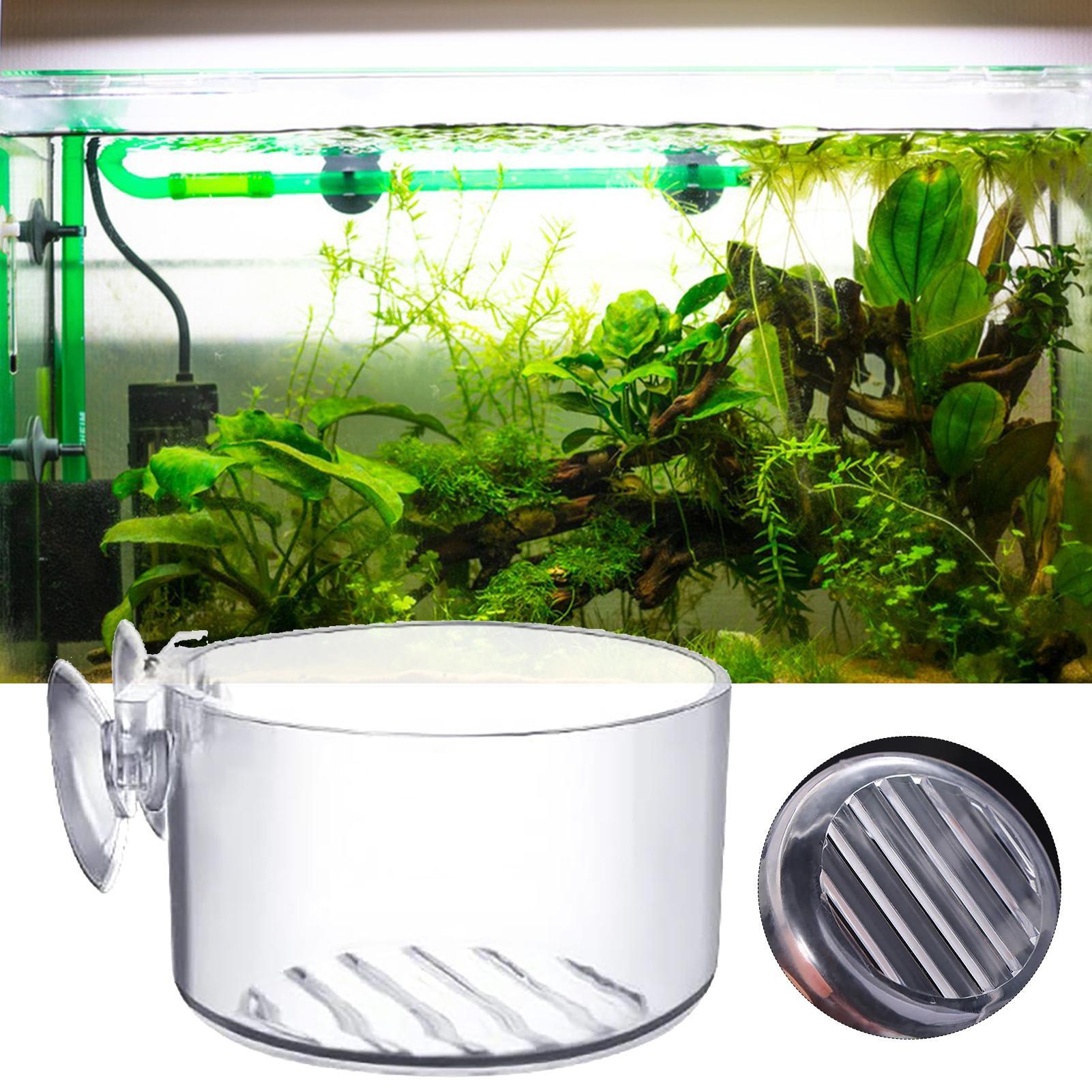 Aquarium-Dekorationspflanzento – Aquarium Fish Beautiful Bewertung und Preis