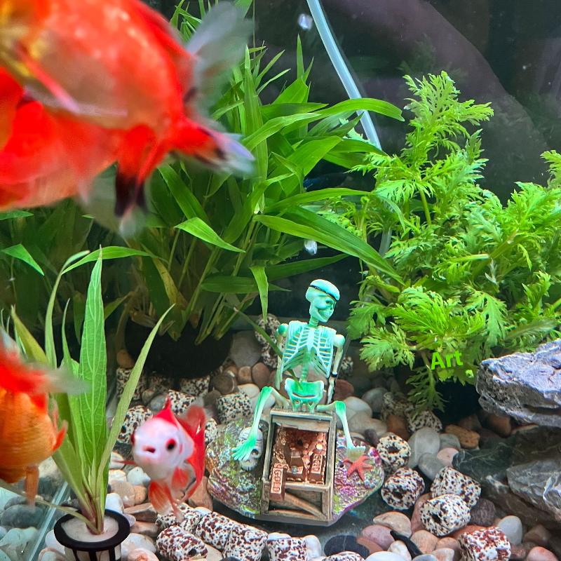 Aquarium Aerobic Landschaft Bl – Aquarium Fish Cichlid Bewertung und Preis