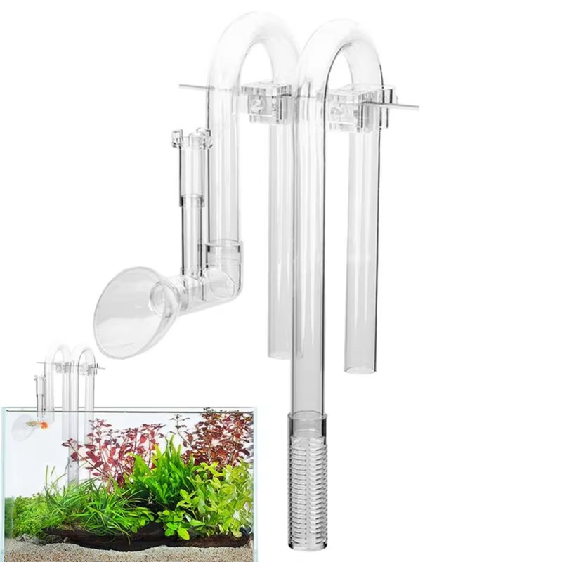 【Schnelle Lieferung】Aquarium-E – Aquarium Fish Delivery Bewertung und Preis