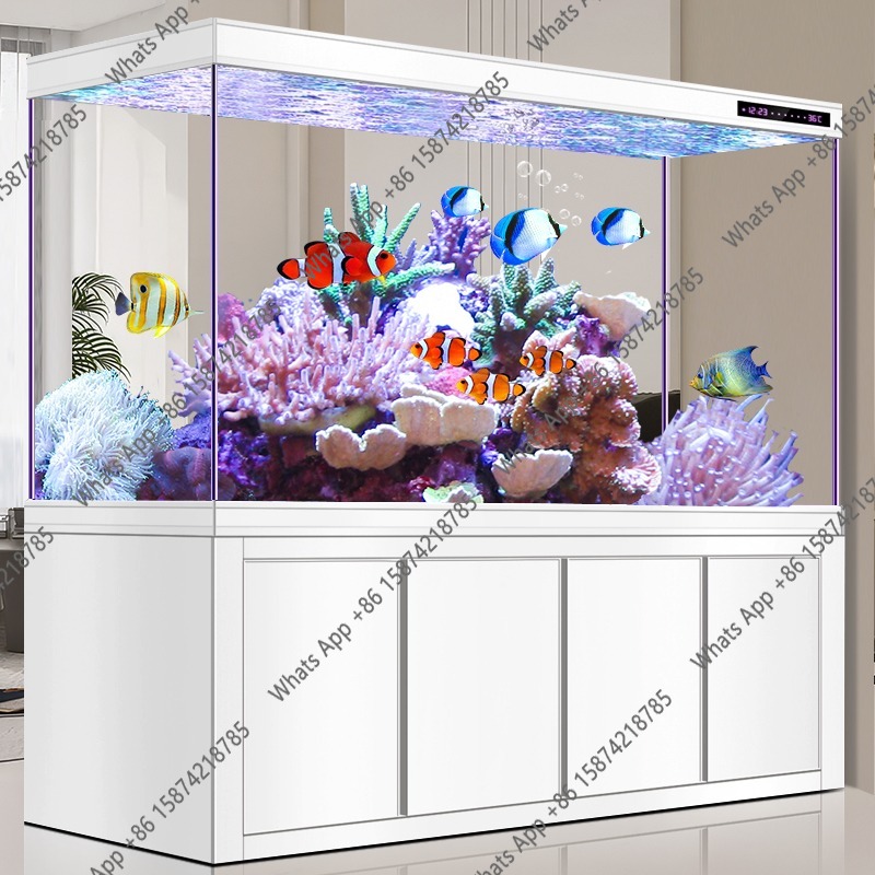 X Arowana Aquarium aus ultrakl – Xchange Aquarium Fish Bewertung und Preis