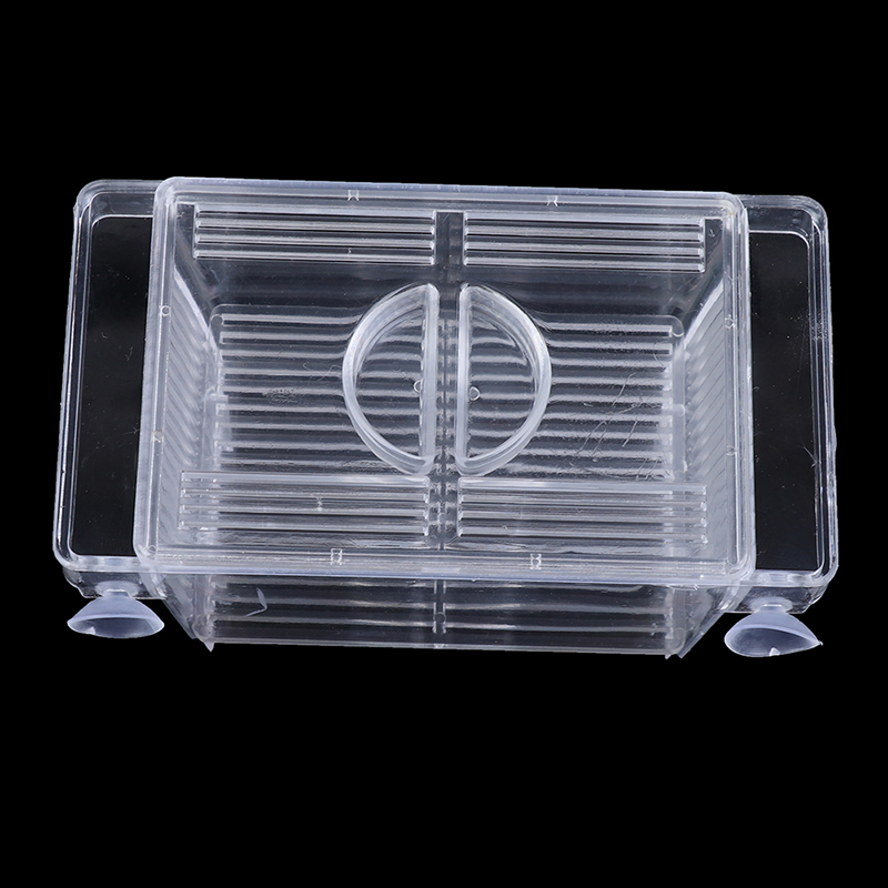 Aquarium Aquarium Guppy Doppel – Aquarium Fish Eggs Bewertung und Preis