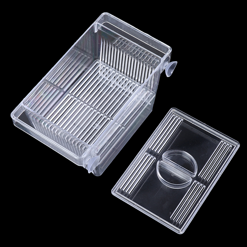 Aquarium Aquarium Guppy Doppel – Aquarium Fish Eggs Bewertung und Preis